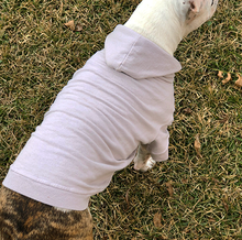 Load image into Gallery viewer, Your Dog's Favorite Hoodie