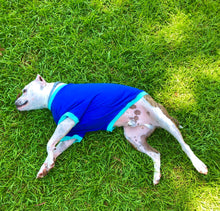 Load image into Gallery viewer, Your Dog's Favorite T-shirt