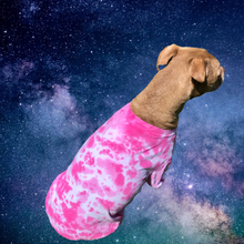Load image into Gallery viewer, Your Dog's Favorite T-shirt