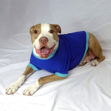 Load image into Gallery viewer, a smiling fawn brindle and white pit bull-type dog in royal blue t shirt