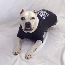 Load image into Gallery viewer, I Will Cuddle You So Hard T-shirt