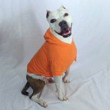 Load image into Gallery viewer, Your Dog's Favorite Hoodie