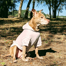 Load image into Gallery viewer, Your Dog&#39;s Favorite Hoodie
