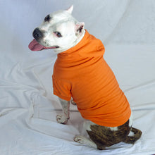 Load image into Gallery viewer, Your Dog&#39;s Favorite Hoodie
