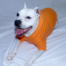 Load image into Gallery viewer, Your Dog&#39;s Favorite Hoodie
